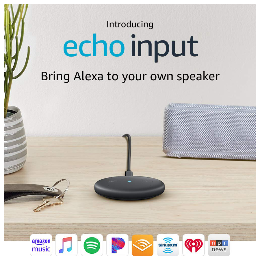 Alexa echo input cheap
