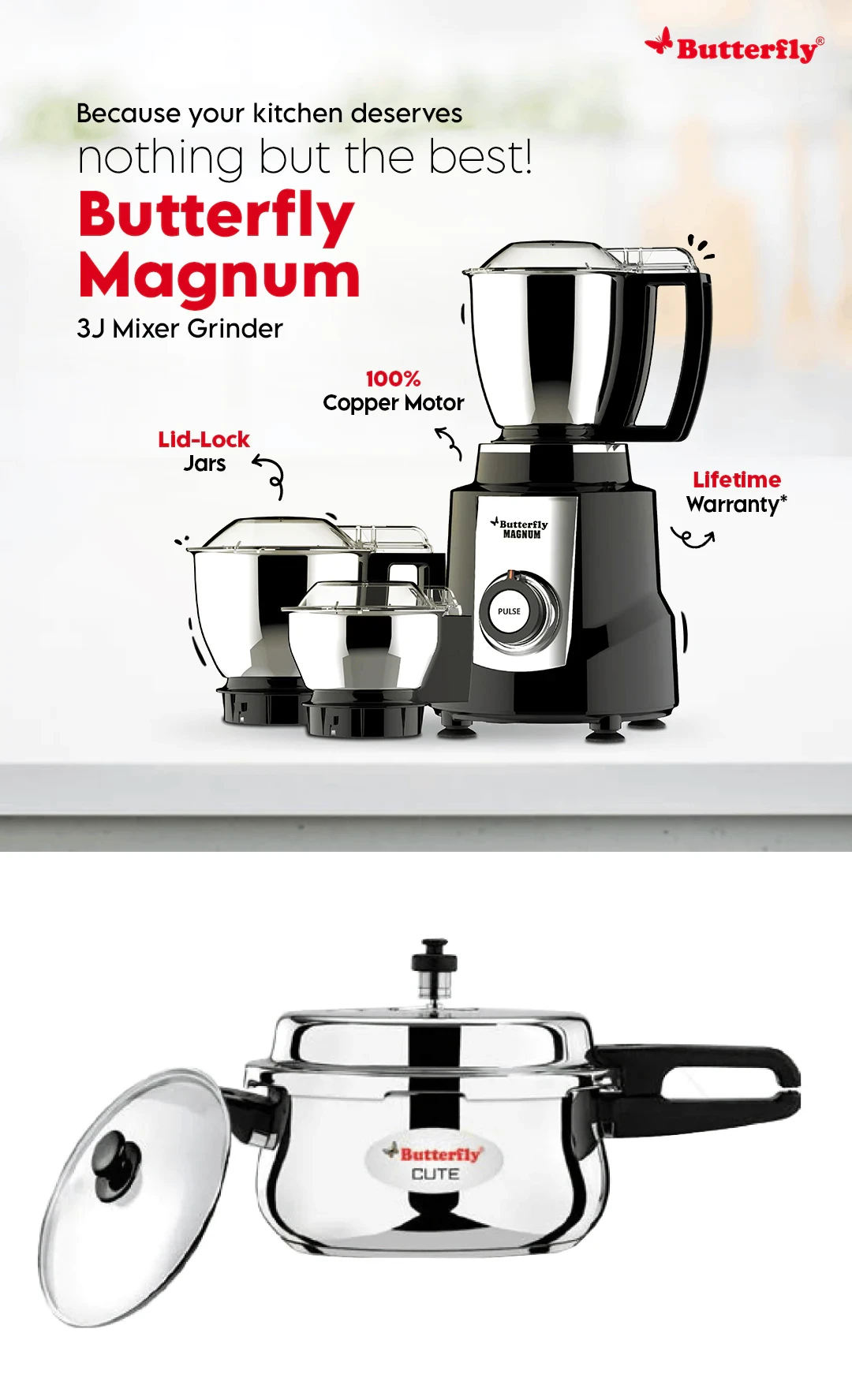 Butterfly Matchless Mixer Grinder 550 watts, 110 votls for use in USA -  KITCHEN MART